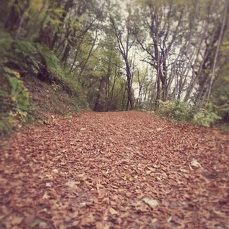 Casa Vittoria Apartamento *