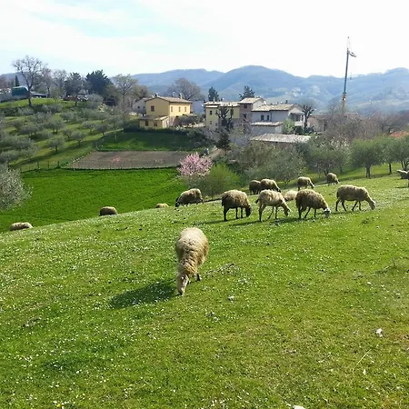 Apartman Casa Vittoria